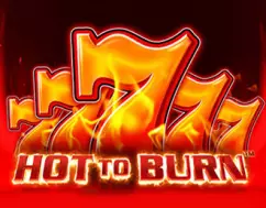 Hot to Burn Bangladesh - Full Slot Guide